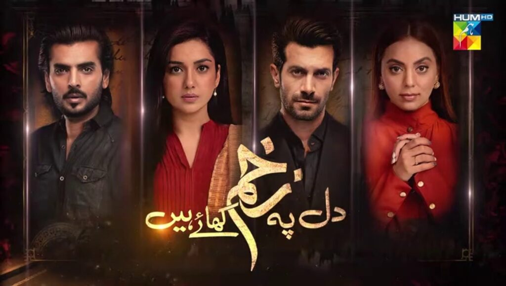 Hum Tv Drama - Dil Pe Zakham Khaye Hain